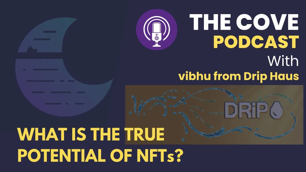 What is the true potential of NFTs with Vibhu from Drip Haus